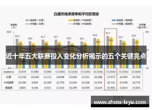 近十年五大联赛投入变化分析揭示的五个关键亮点