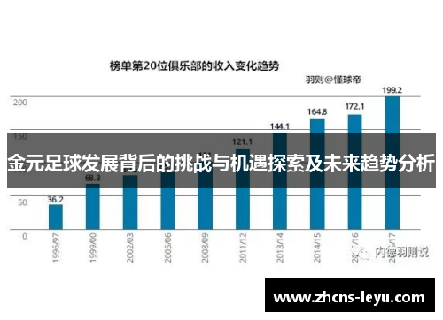金元足球发展背后的挑战与机遇探索及未来趋势分析