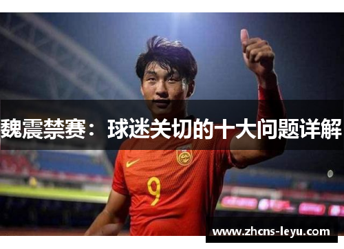 魏震禁赛：球迷关切的十大问题详解